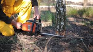 Best Weed Control  in Stanwood, WA